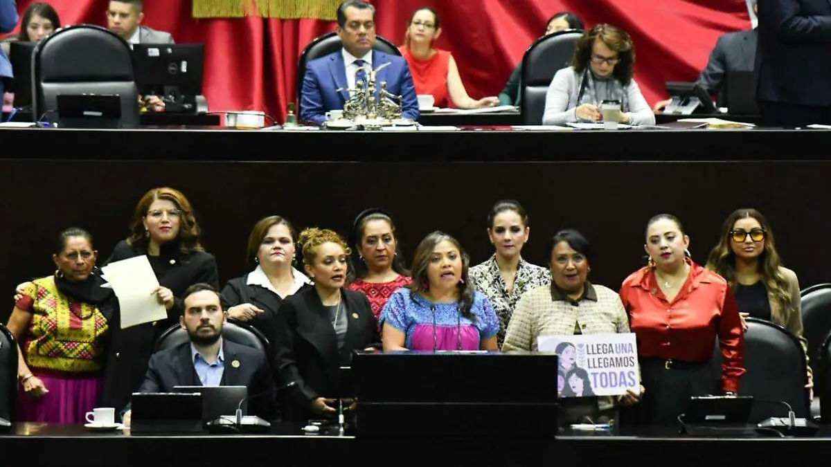 Cámara de diputados (20)